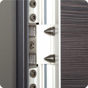 Bandsicherung Aushebesicherung